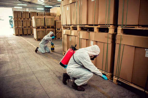Best Pest Control Near Me in Wyndmoor, PA
