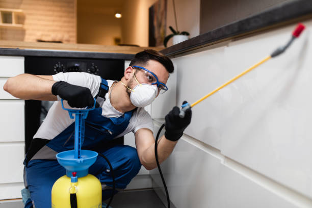 Best Flea Control Services  in Wyndmoor, PA