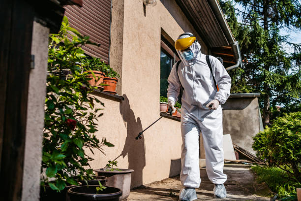 Best Affordable Pest Control Services  in Wyndmoor, PA