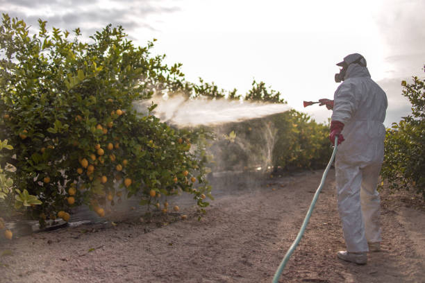 Best Residential Pest Control  in Wyndmoor, PA