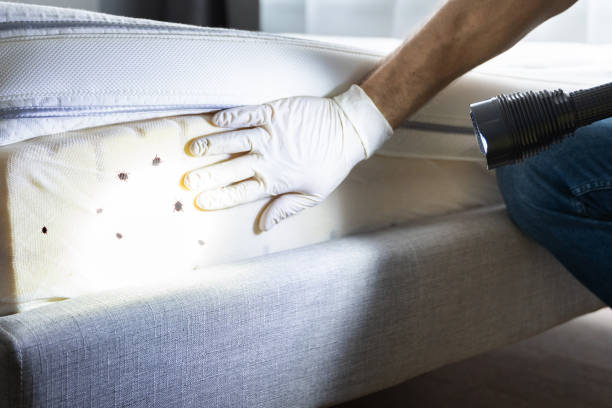 Best Pest Control for Businesses  in Wyndmoor, PA