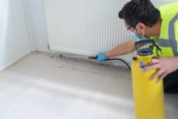 Best Bed Bug Extermination  in Wyndmoor, PA
