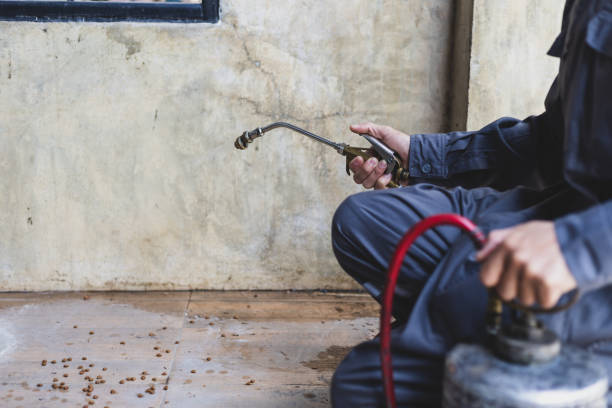 Best Wasp Removal Services  in Wyndmoor, PA