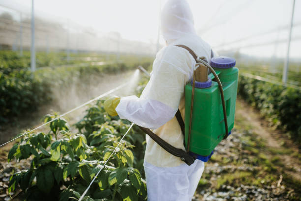 Best Pest Removal Services  in Wyndmoor, PA